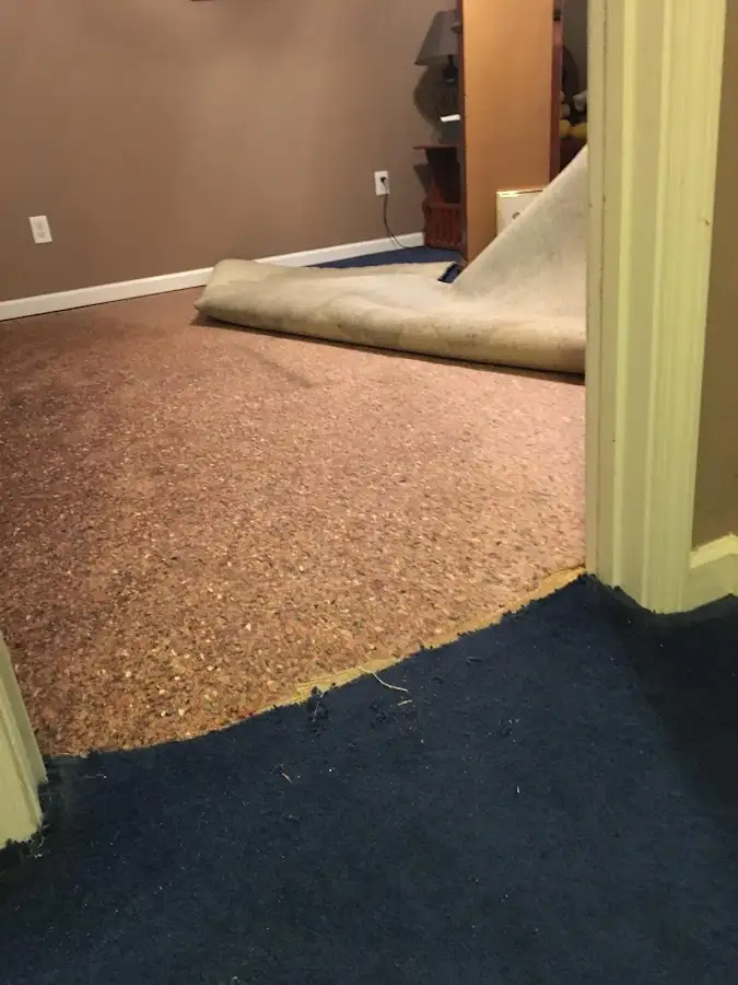 Carpet pad removal revealing water damage during Drying & Dehumidification in Doylestown