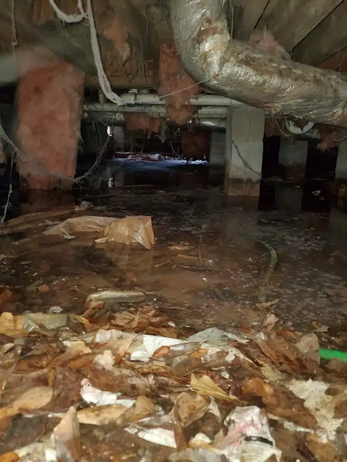Crawl space flood assessment for Leak Detection & Repair in Doylestown
