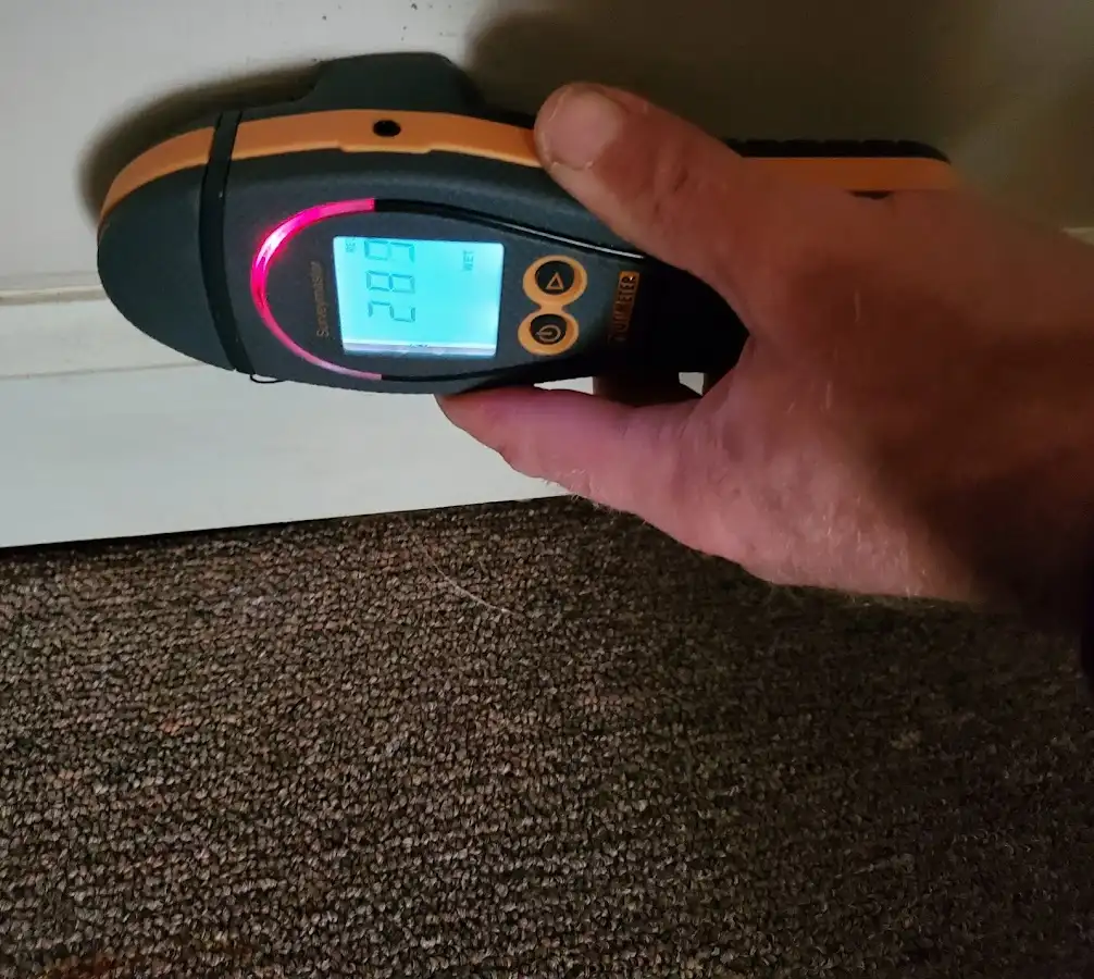 Moisture detection at baseboard during Sewage Cleanup & Sanitation in Doylestown